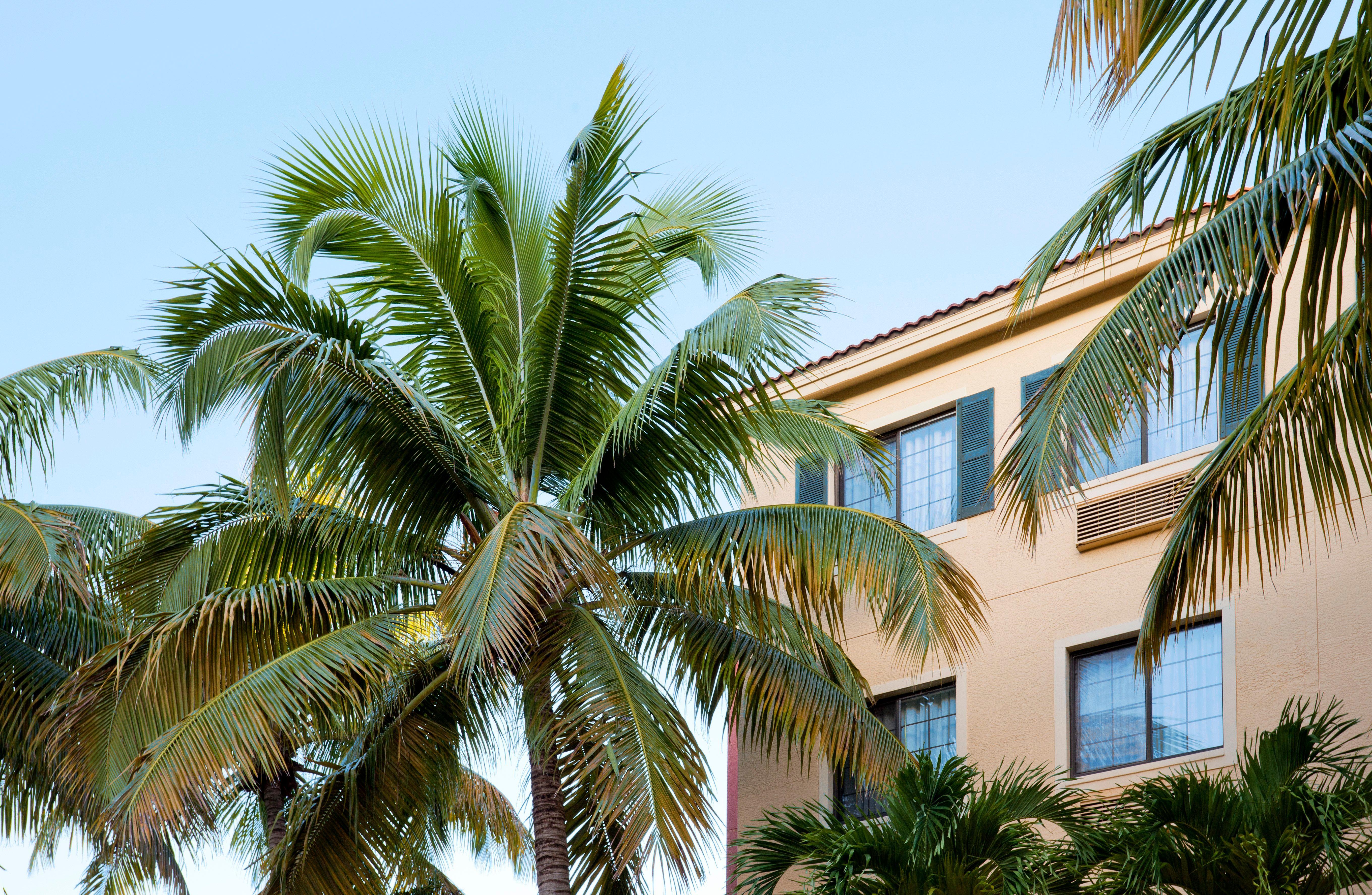 Staybridge Suites Naples - Gulf Coast, An Ihg Hotel Exterior photo